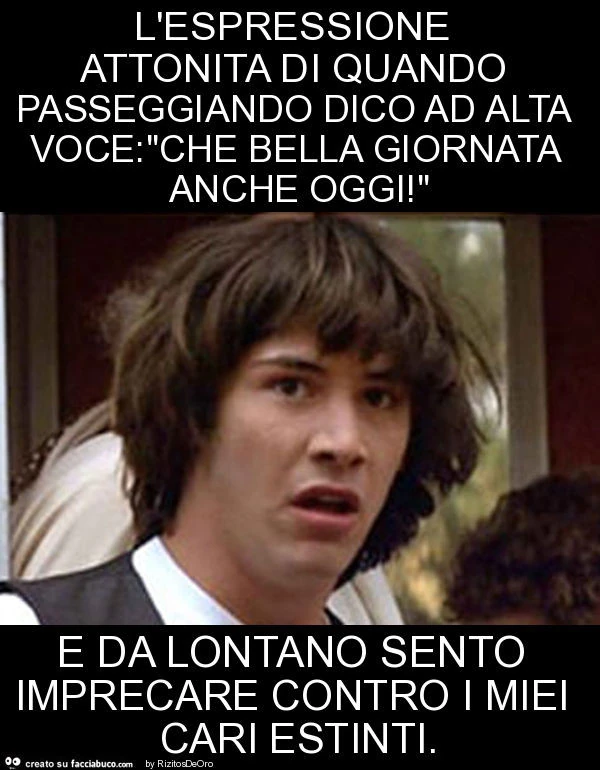 L'espressione attonita di quando passeggiando dico ad alta voce: "che bella giornata anche oggi! " E da lontano sento imprecare contro i miei cari estinti