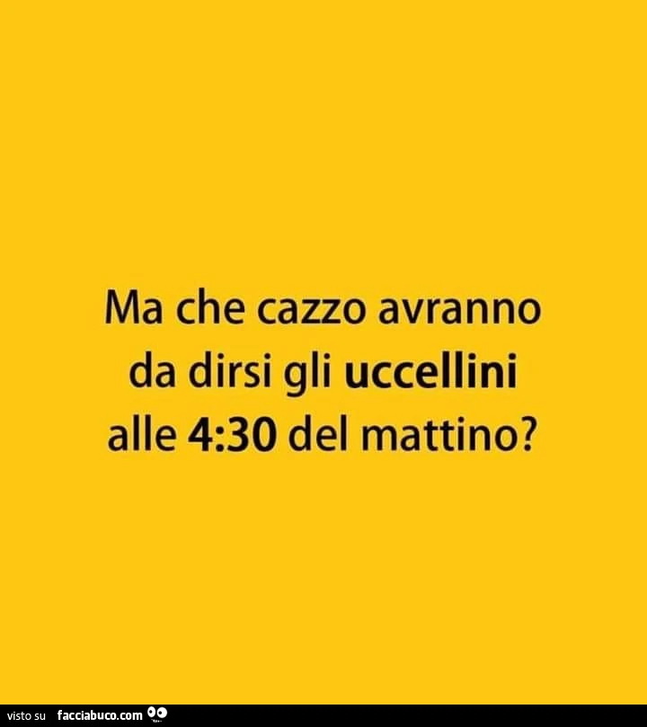 Ma che cazzo avranno da dirsi gli uccellini alle 4,30 del mattino?