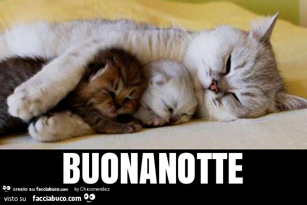 Buonanotte