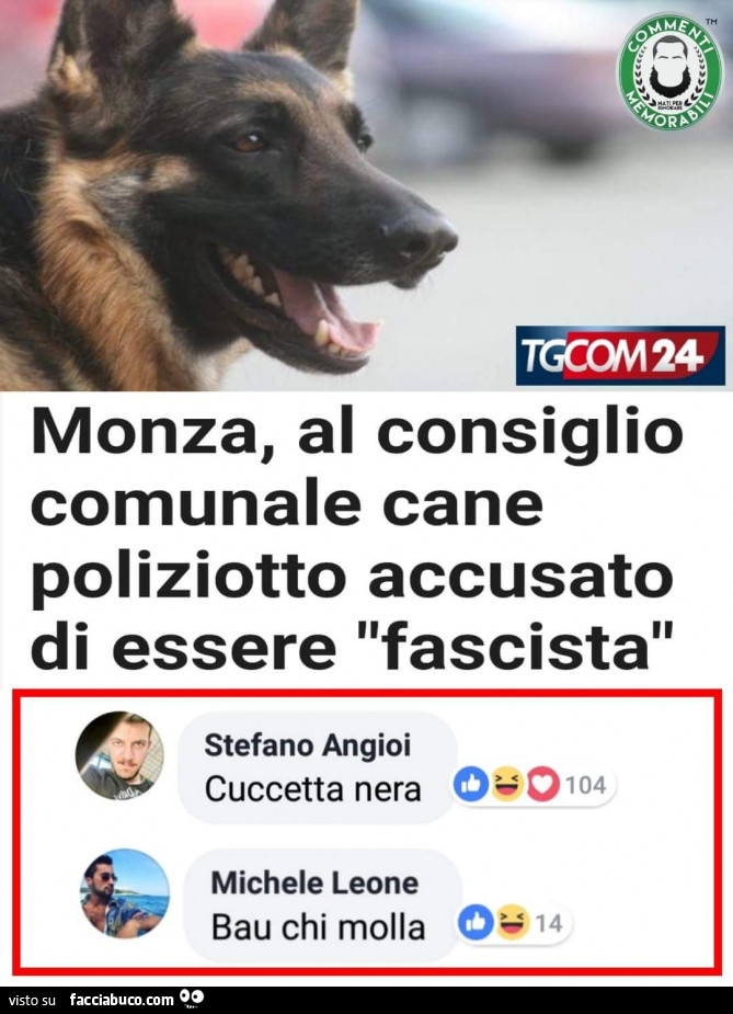 Monza, al consiglio comunale cane poliziotto accusato di essere fascista. Cuccetta nera. Bau chi molla