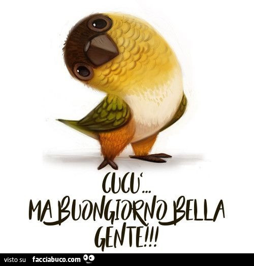 Cucù… ma buongiorno bella gente