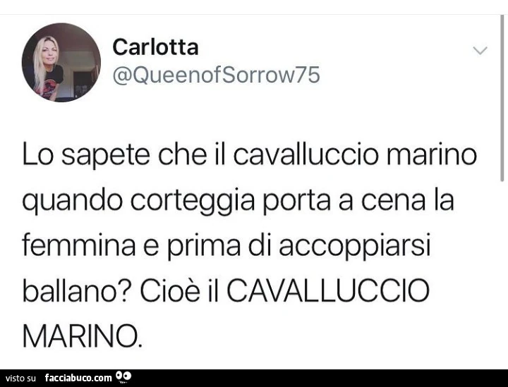 Lo sapete che il cavalluccio marino quando corteggia porta a cena la femmina e prima di accoppiarsi ballano? Cioè il cavalluccio marino