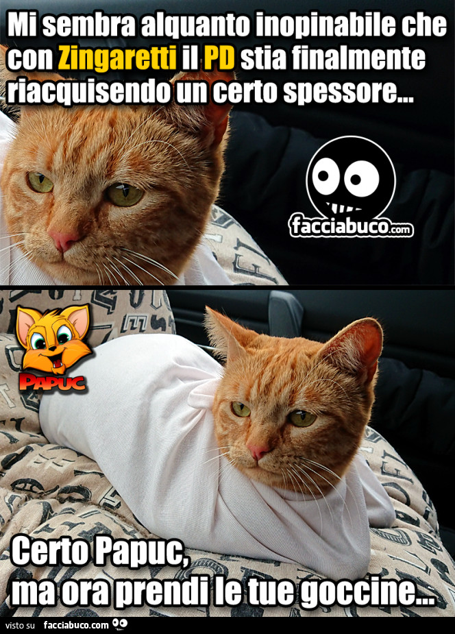 Mi sembra alquanto inopinabile che con Zingaretti il PD stia finalmente riacquisendo un certo spessore… Certo Papuc, ma ora prendi le tue goccine