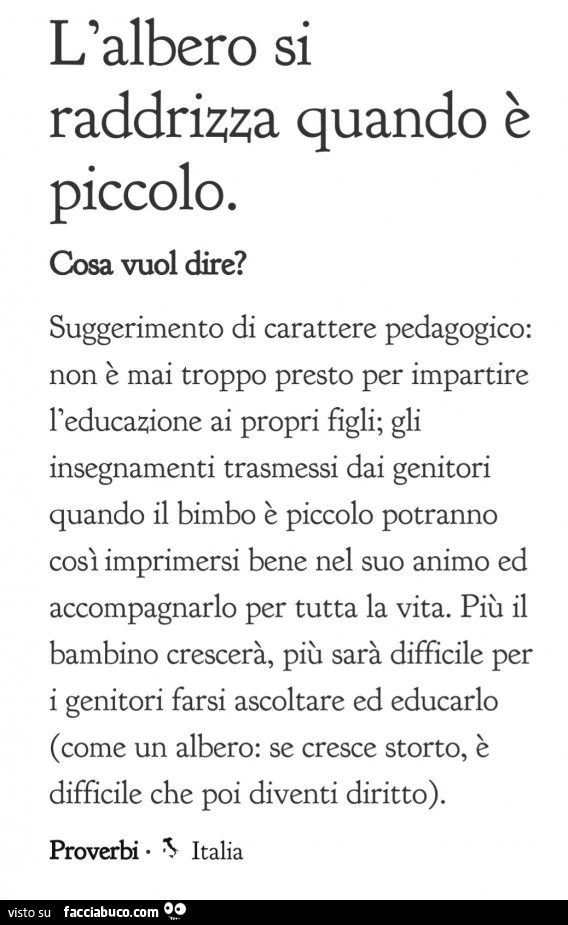 L'albero si raddrizza quando è piccolo. Cosa vuol dire?