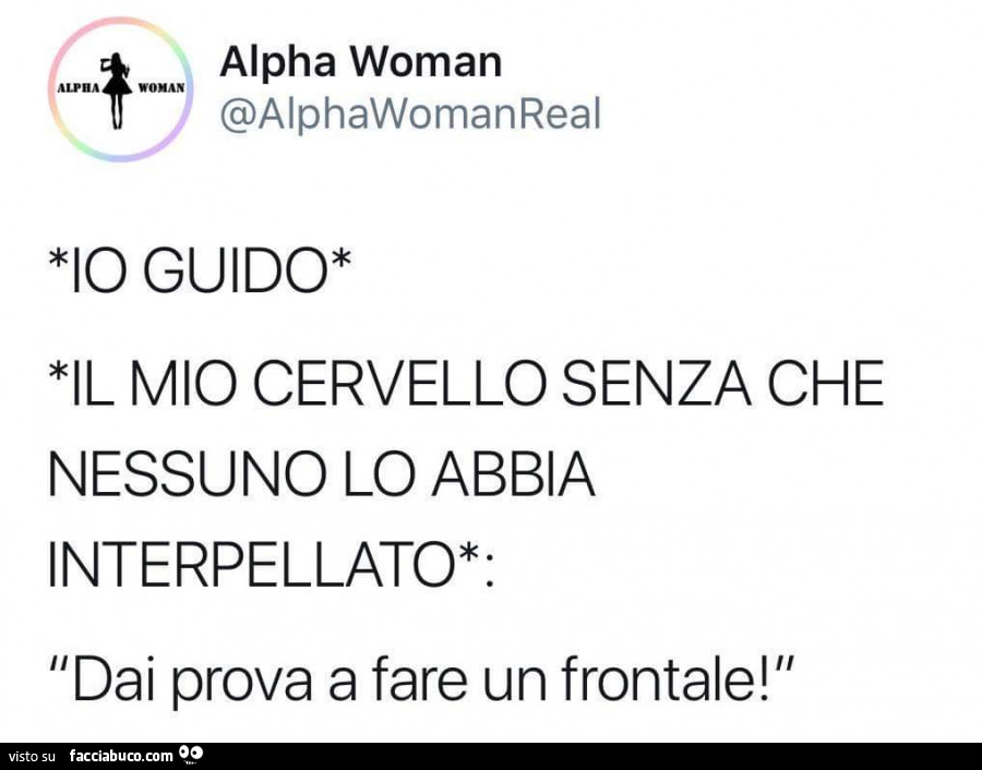 Io guido, il mio cervello senza che nessuno lo abbia interpellato: dai prova a fare un frontale