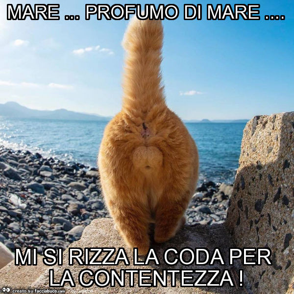 Mare… profumo di mare… mi si rizza la coda per la contentezza