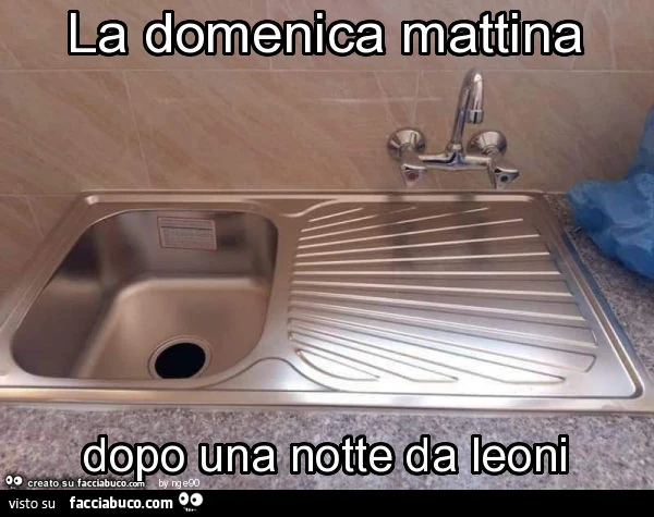 La domenica mattina dopo una notte da leoni