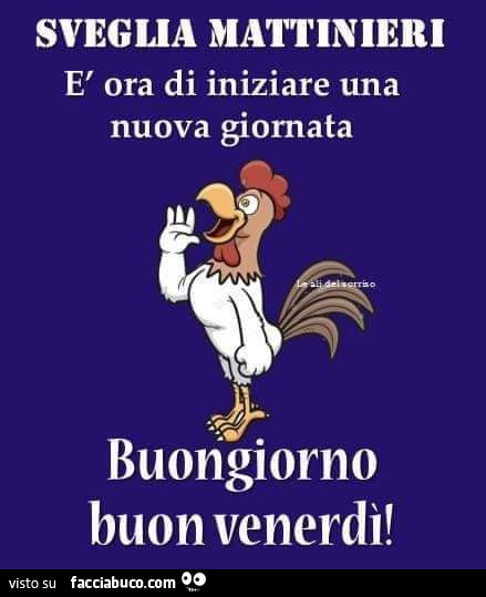 Sveglia mattinieri è ora di iniziare una nuova giornata buongiorno buon venerdì