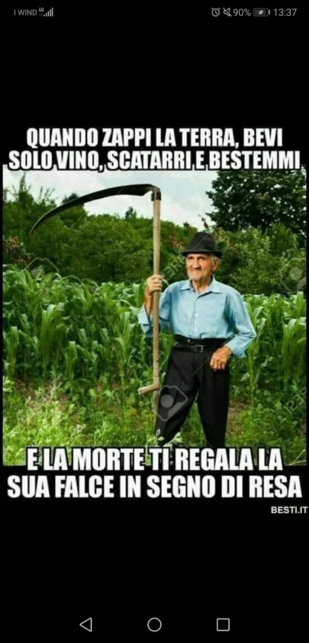 Vaccata