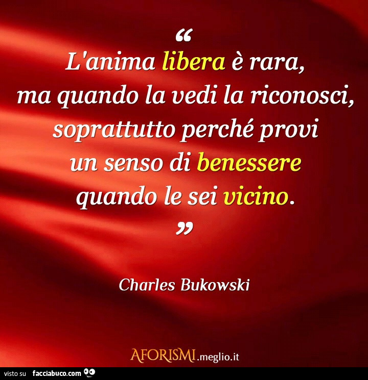 L'anima libera è rara, ma quando la vedi la riconosci, soprattutto perché provi un senso di benessere quando le sei vicino. Charles Bukowski