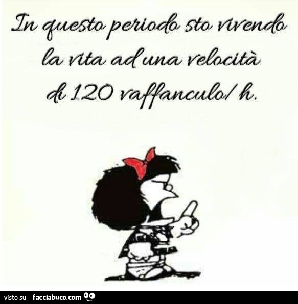 In questo periodo sto vivendo la vita ad una velocità di 120 vaffanculo ora