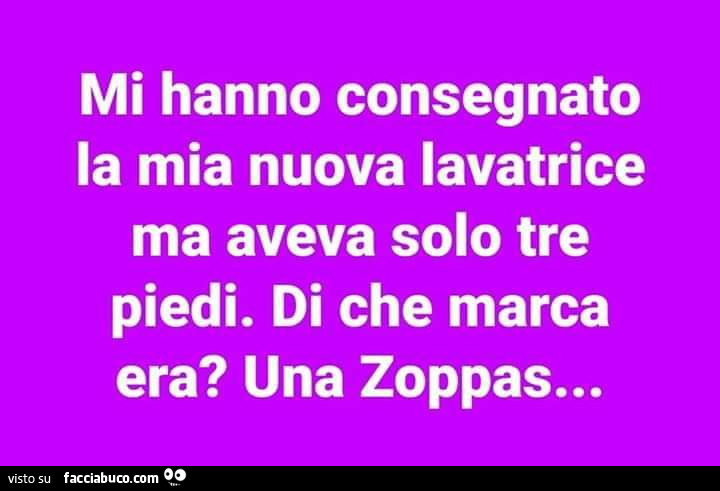 Mi hanno consegnato la mia nuova lavatrice ma aveva solo tre piedi. Di che marca era? Una zoppas