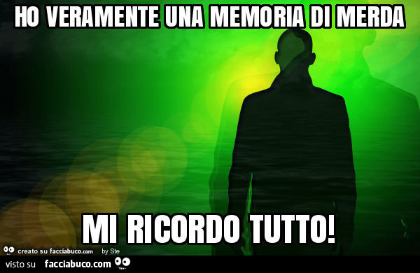 Ho veramente una memoria di merda mi ricordo tutto