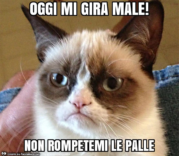 Oggi mi gira male! Non rompetemi le palle