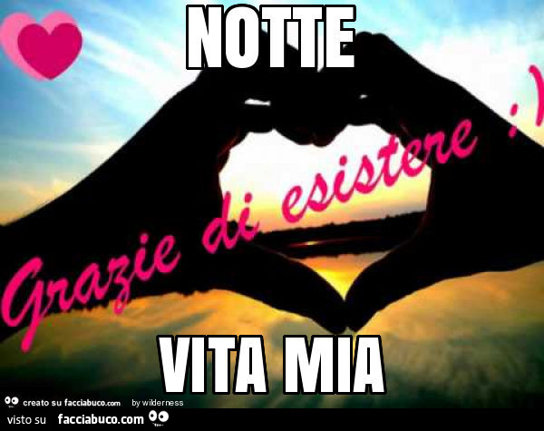 Notte vita mia