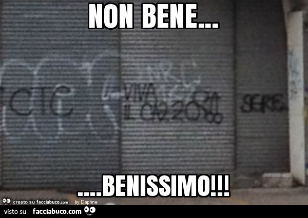 Viva il cazzo. Non bene… benissimo