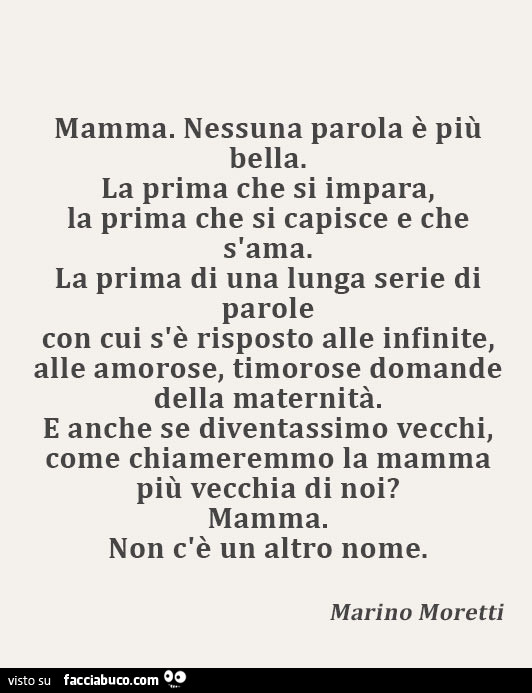 Mamma. Nessuna parola è più bella. La prima che si impara, la prima che si capisce e che s'ama. La prima di una lunga serie di parole con cui s'è risposto alle infinite, alle amorose, timorose domande della maternità