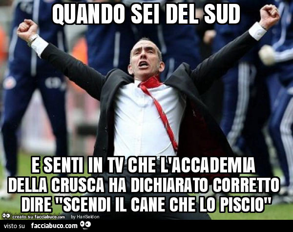 Quando sei del sud e senti in tv che l'accademia della crusca ha dichiarato corretto dire "scendi il cane che lo piscio"