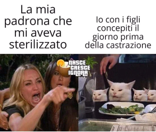 Vaccata