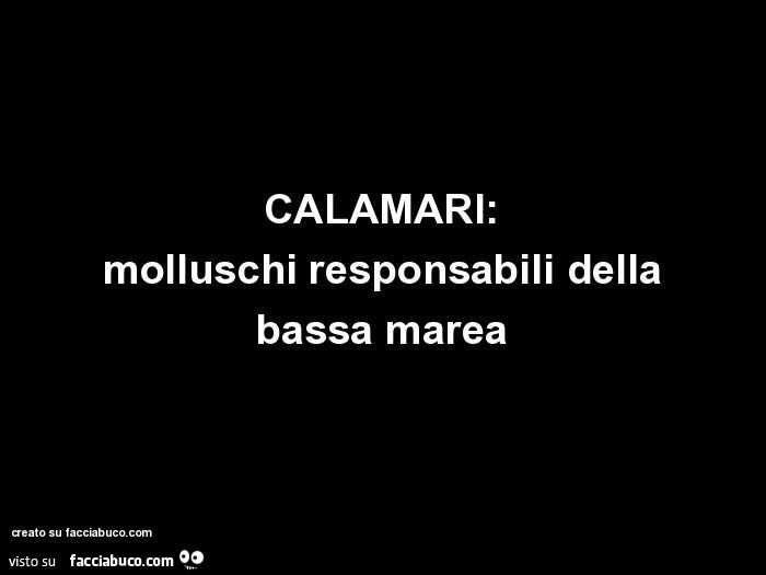 CALAMARI: molluschi responsabili della bassa marea