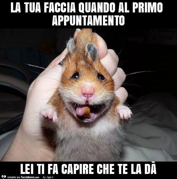 La tua faccia quando al primo appuntamento lei ti fa capire che te la dà