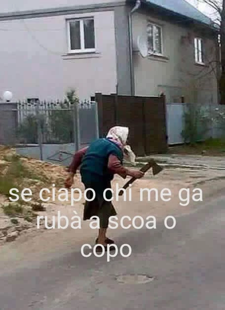Vaccata