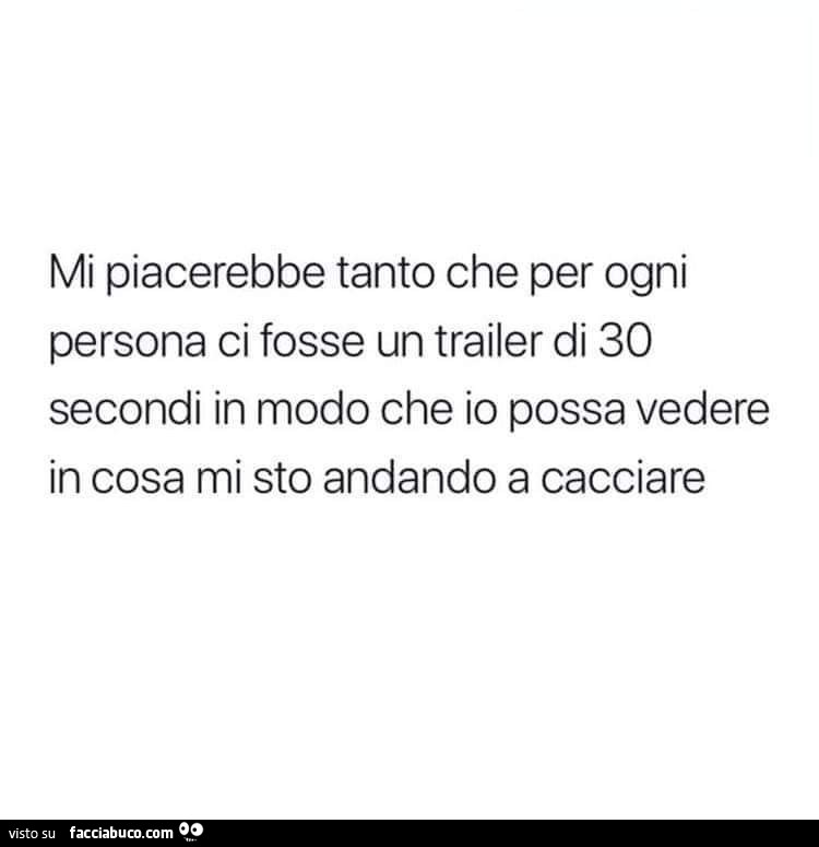 Mi piacerebbe tanto che per ogni persona ci fosse un trailer di 30 secondi in modo che io possa vedere in cosa mi sto andando a cacciare