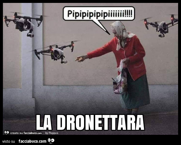 La dronettara