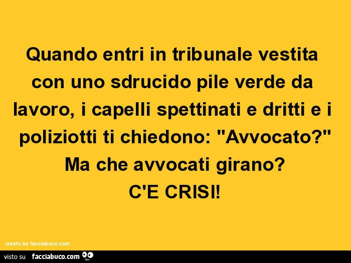 Quando entri in tribunale vestita con uno sdrucido pile verde da lavoro, i capelli spettinati e dritti e i poliziotti ti chiedono: "avvocato? " Ma che avvocati girano? C'è crisi