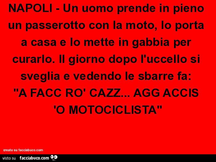 NAPOLI - Un uomo prende in pieno un passerotto con la moto, lo porta a casa e lo mette in gabbia per curarlo. Il giorno dopo l'uccello si sveglia e vedendo le sbarre fa: "A FACC Rò CAZZ… AGG ACCIS 'O MOTOCICLISTA"