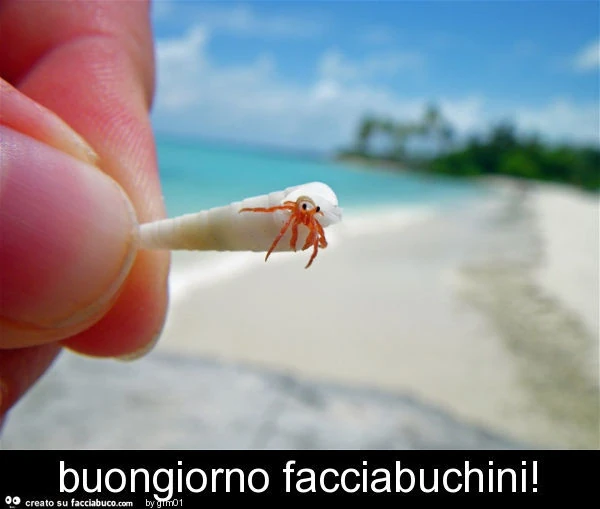 Buongiorno facciabuchini