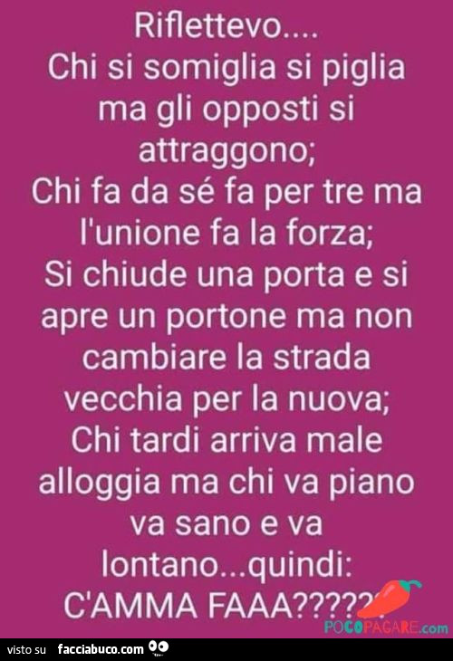 Chi si somiglia si piglia, ma gli opposti si attraggono… chi fa da se fa per tre ma l'unione fa la forza. Ma quindi c'amma fa?
