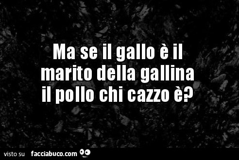 Ma se il gallo è il marito della gallina il pollo chi cazzo è?