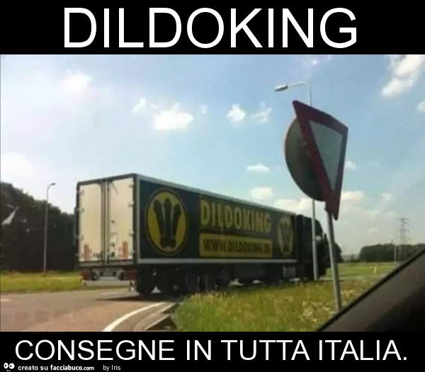 Dildoking consegne in tutta italia