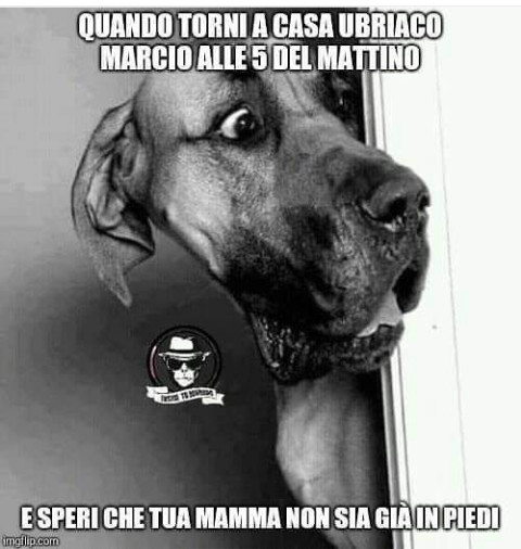 Quando torni a casa ubriaco marcio alle 5 del mattino e speri che mamma