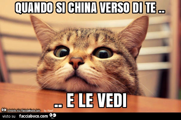 Quando si china verso di te… e le vedi
