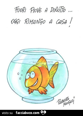 Fuori piove a dirotto… oggi rimango a casa