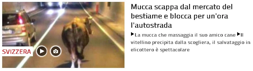 Vaccata