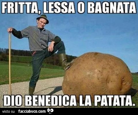 Vaccata