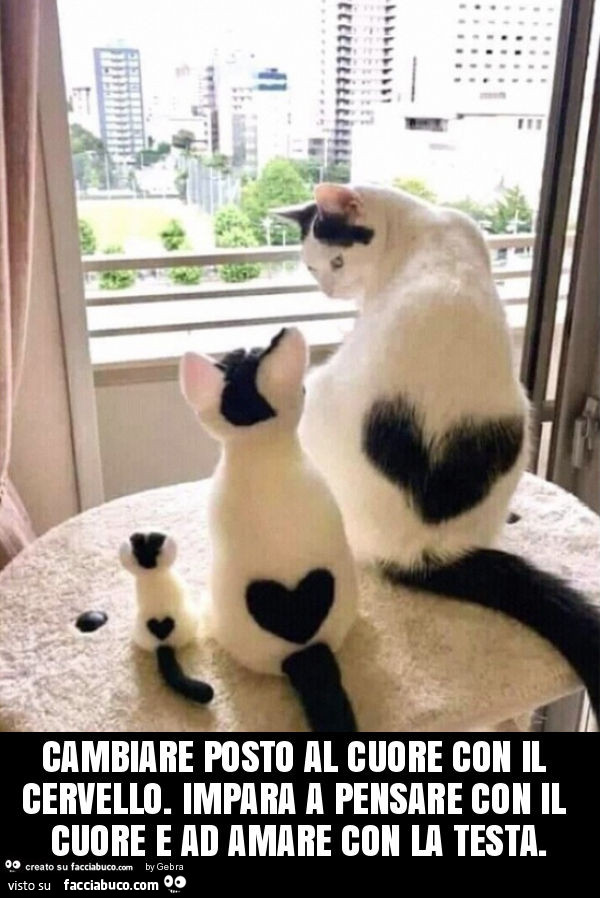 Cambiare posto al cuore con il cervello. Impara a pensare con il cuore e ad amare con la testa