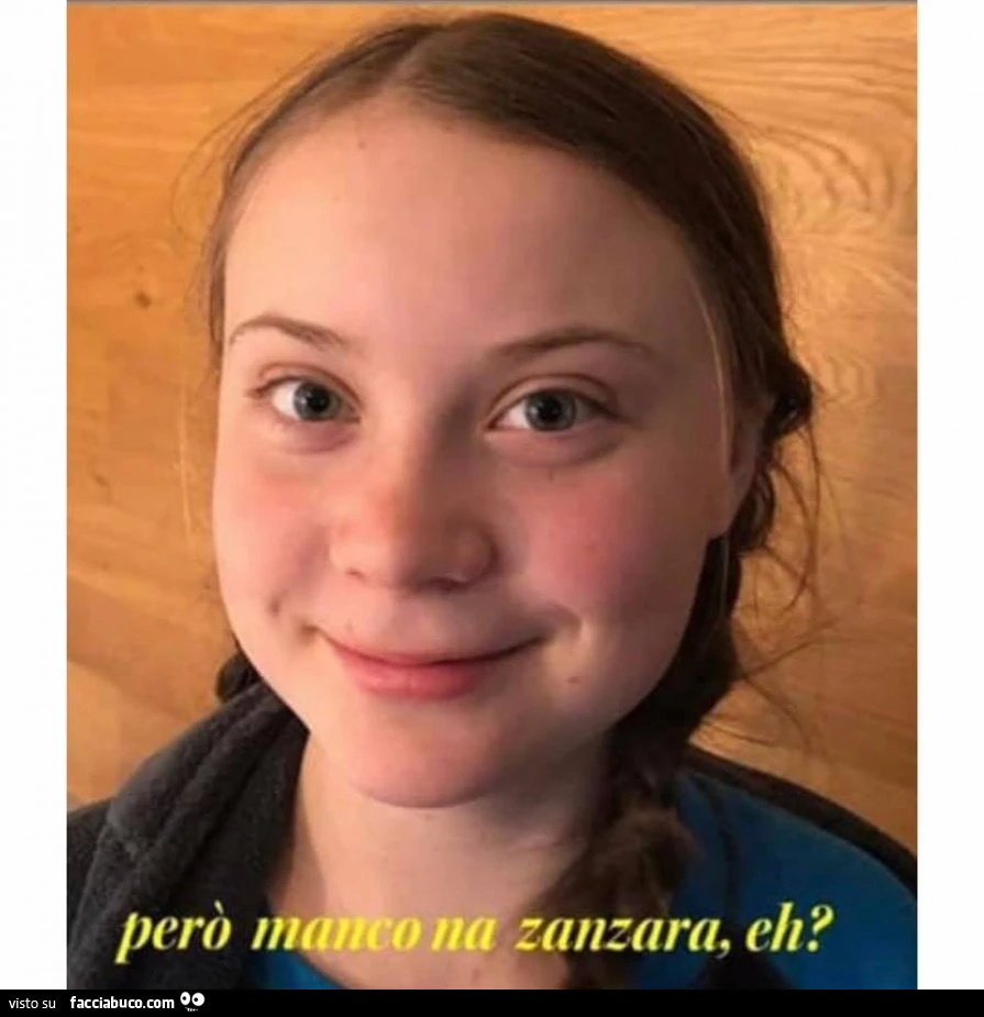 Però manco na zanzara eh?