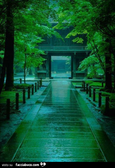 Tempio di Kyoto sotto la pioggia