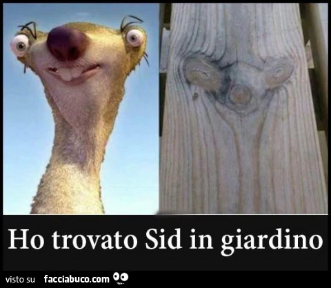 Ho trovato Sid in giardino
