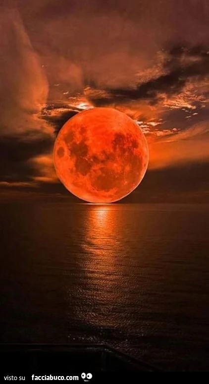 Luna gigante in mare
