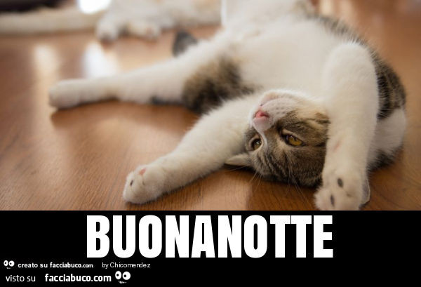 Buonanotte
