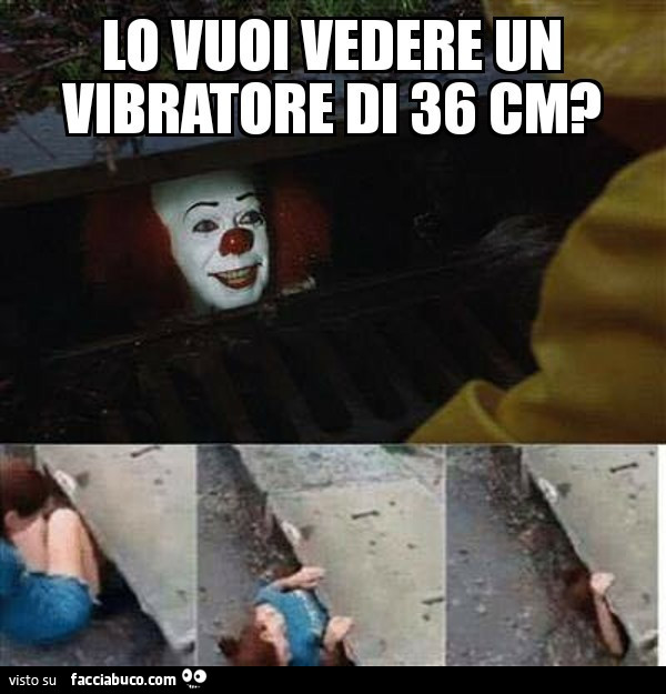 Lo vuoi vedere un vibratore di 36 cm?