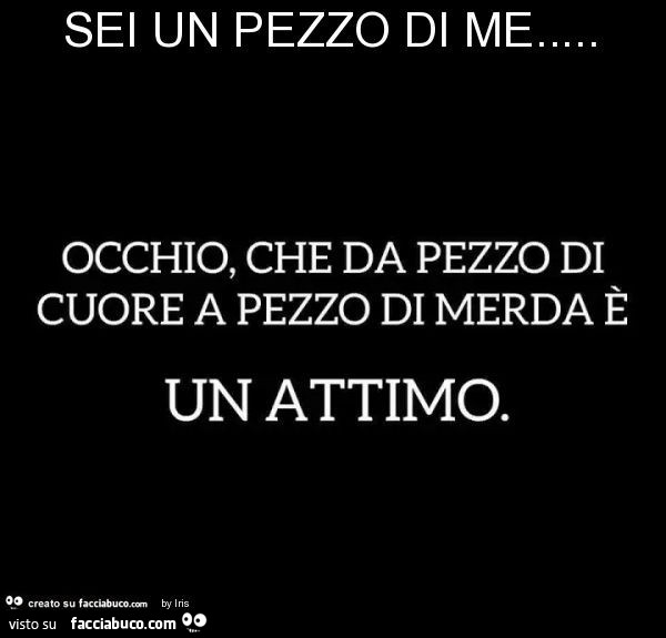 Sei un pezzo di me. Occhio, che da pezzo di cuore a pezzo di merda è un attimo