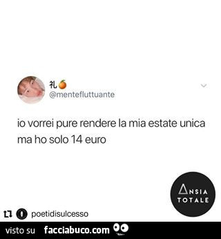 Io vorrei pure rendere la mia estate unica ma ho solo 14 euro