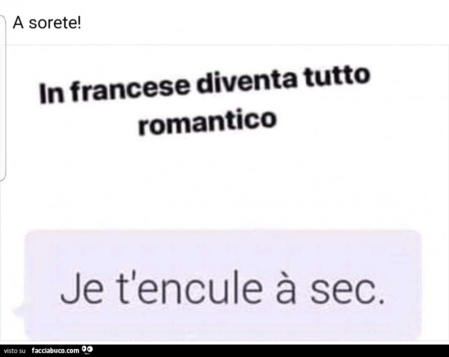 In francese diventa tutto romantico. Je t'encule à sec