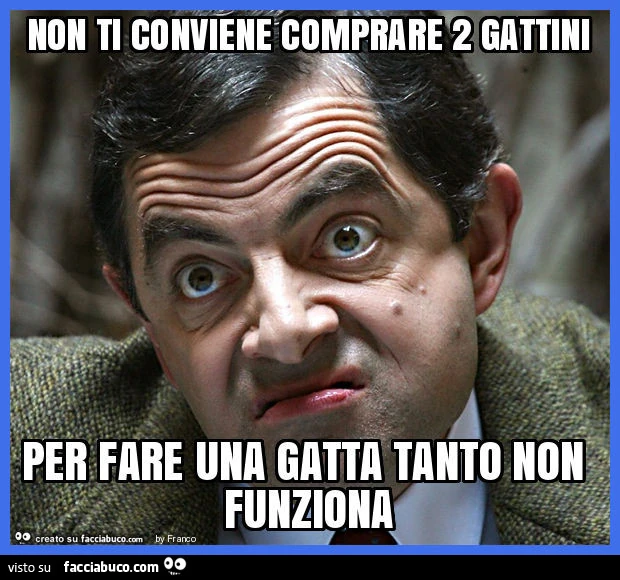 Non ti conviene comprare 2 gattini per fare una gatta tanto non funziona